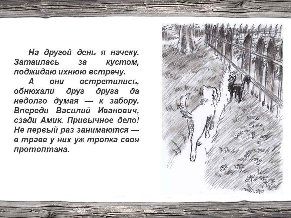 Из рассказов олены даниловны. Иллюстрации из рассказов Абрамова. Рисунки по рассказам Абрамова. Абрамов собачья гордость рисунок.
