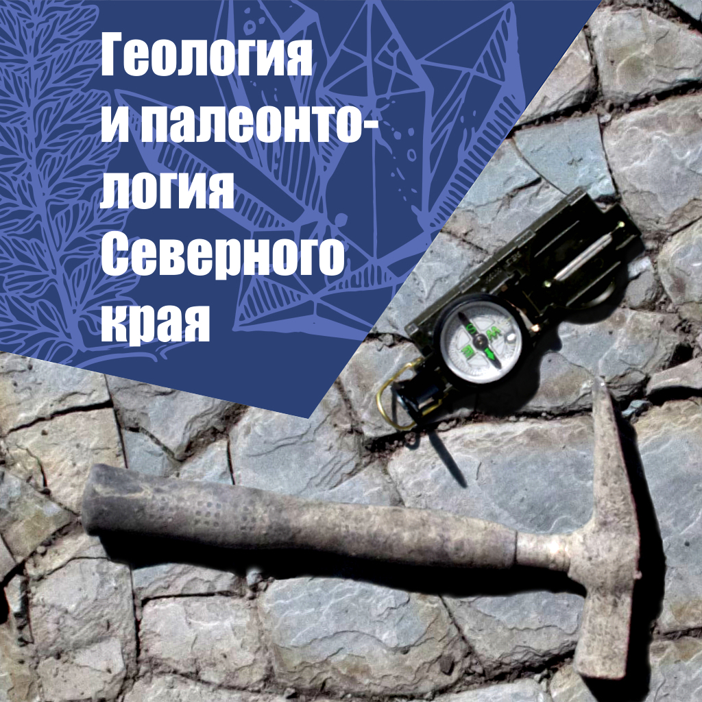 Экспозиция «Геология и палеонтология Северного края».